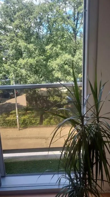 Digital Nomad Station: Work-Ready Room Near Transit Antwerp Homestay